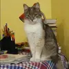 Отзыв от Эмма Зорина